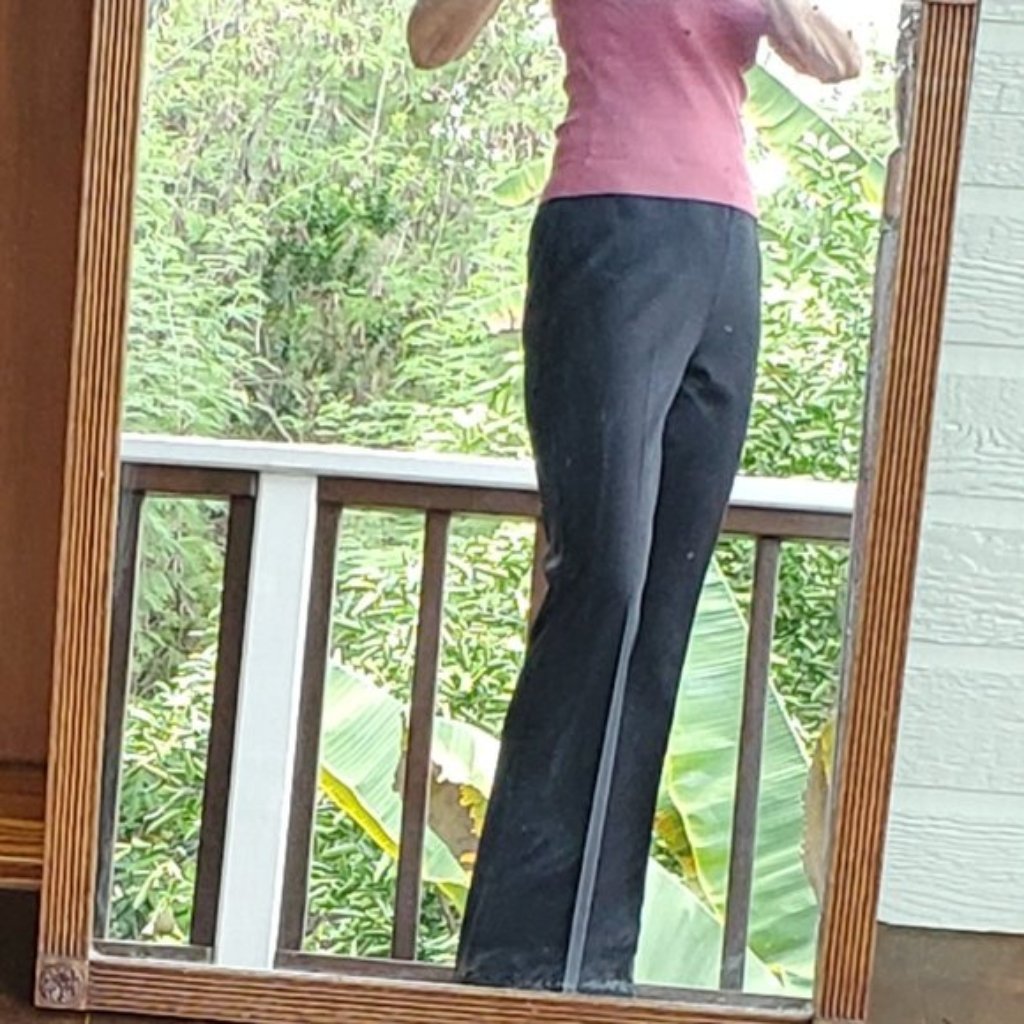 Black Dress Pants By Express World Brand